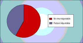 Proportion of companies with an individual responsible for document production